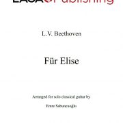 Für Elise (Bagatelle) by L.V. Beethoven for classical guitar