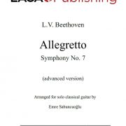 Allegretto from Symphony No. 7 (Op. 92) by L.V. Beethoven for classical guitar - Advanced level